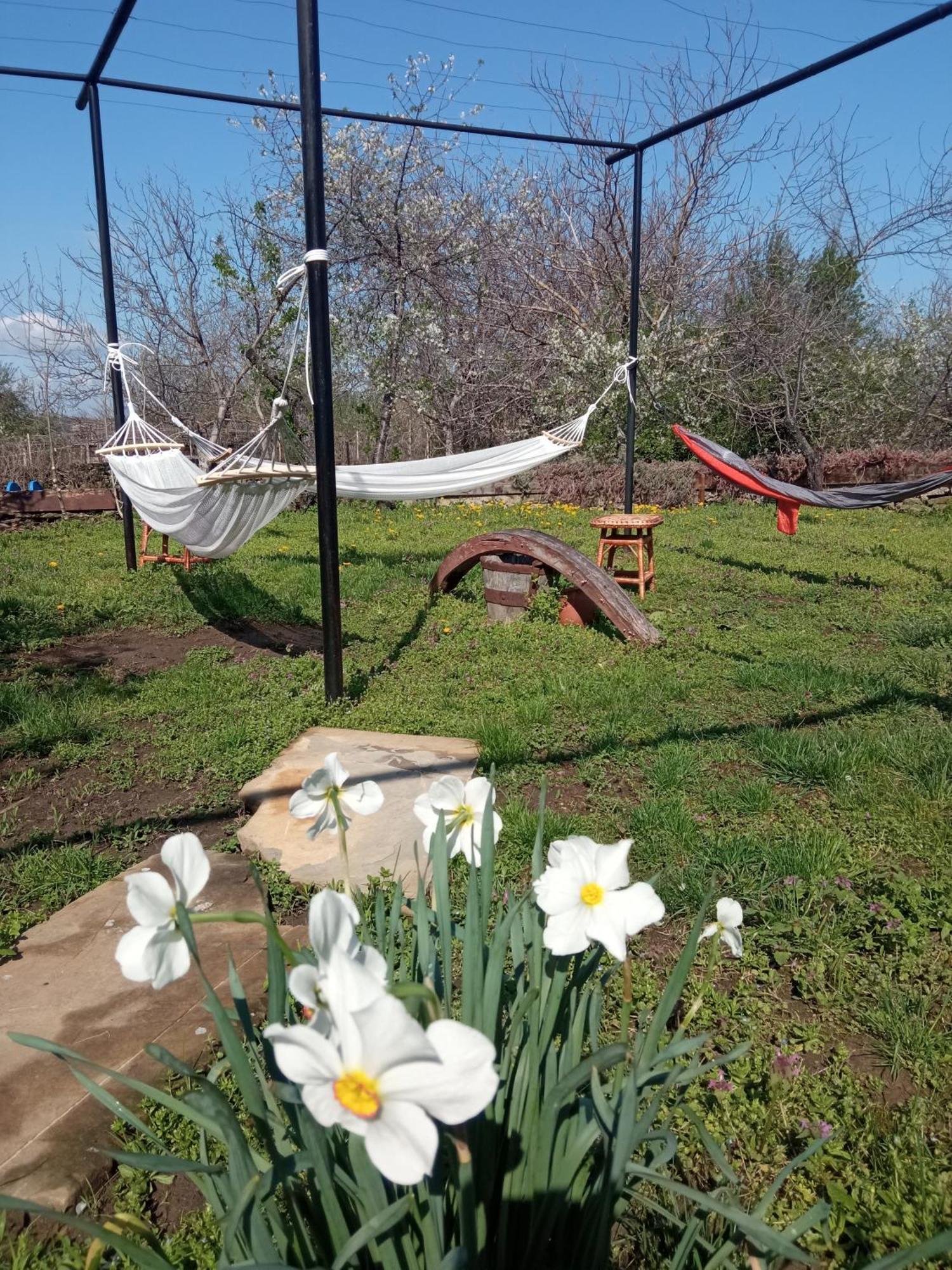 Guest House Art Eco Land Ganchovets Exterior photo