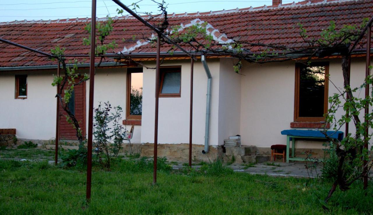 Guest House Art Eco Land Ganchovets Exterior photo