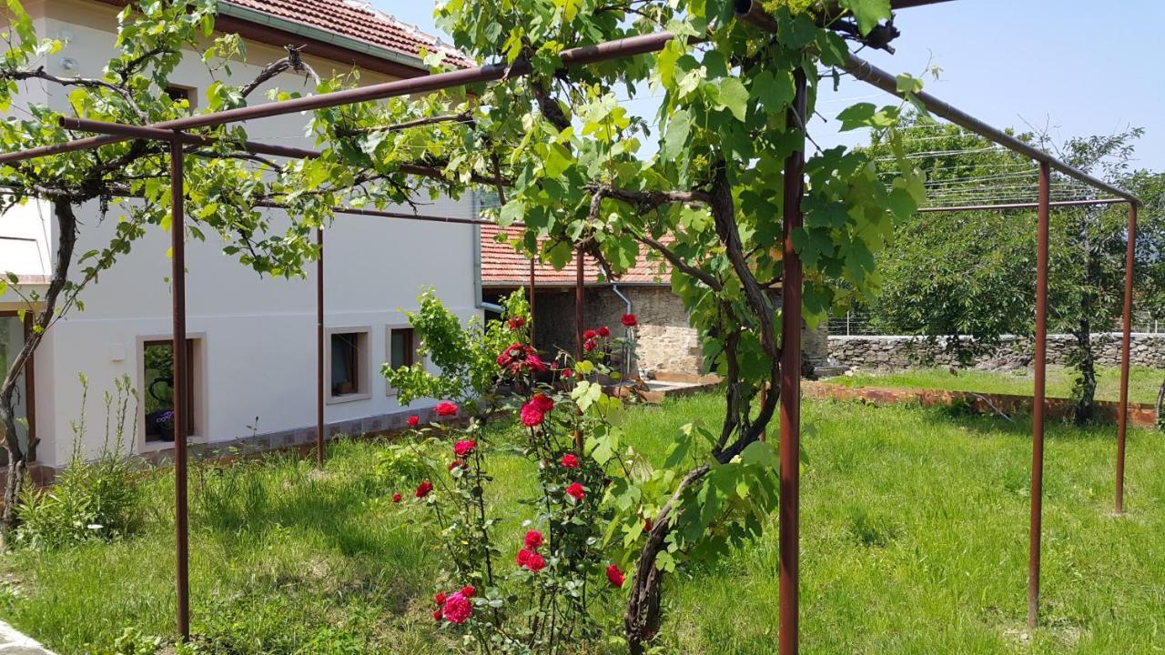 Guest House Art Eco Land Ganchovets Exterior photo